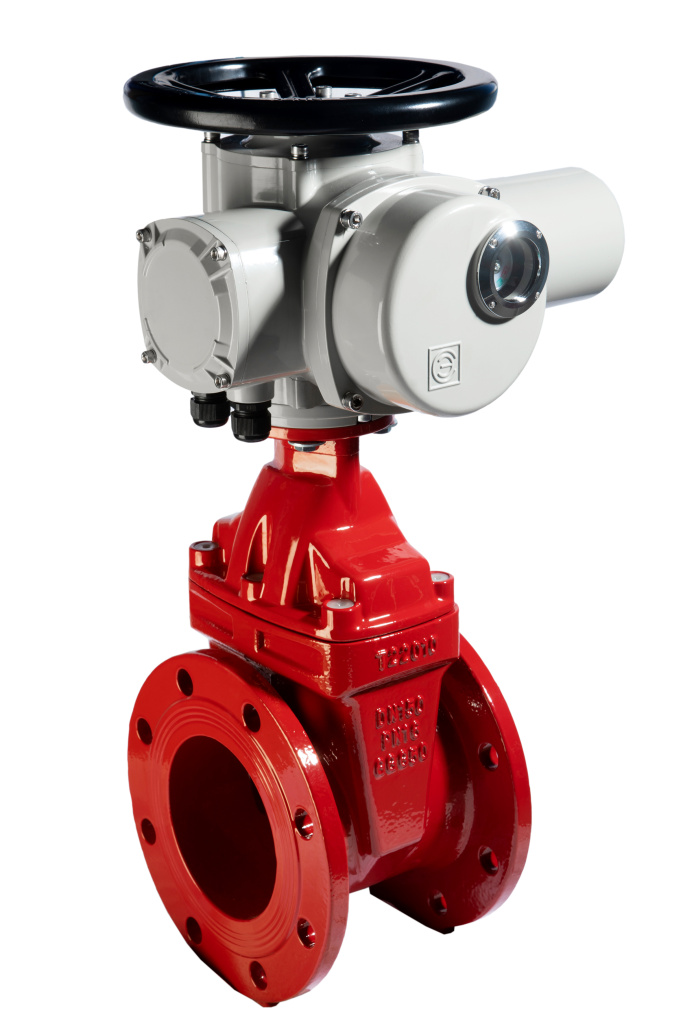 Купить задвижку чугунную с обрезиненным клином (красная) REON тип