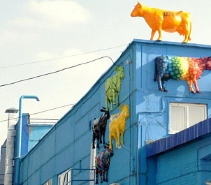 Завод «Деревенское молочко»