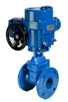 Задвижка чугунная с обрезиненным клином REON тип RSV61, PN16 с электроприводом 220В